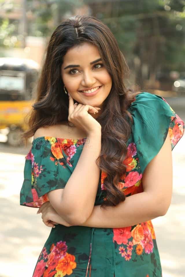 Actress Anupama Parameswaran At Hello Guru Premakosame Interview Photos