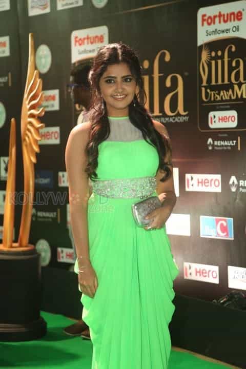 Actress Anupama Parameswaran At Iifa Utsavam Photos