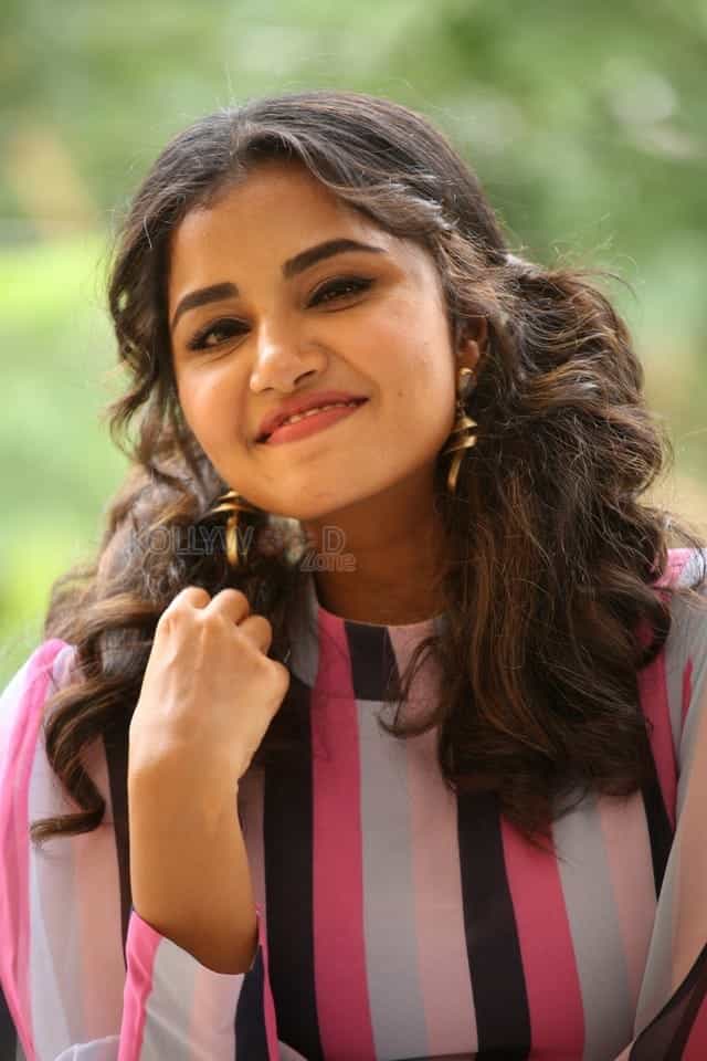Actress Anupama Parameswaran At Rakshasudu Interview Photos