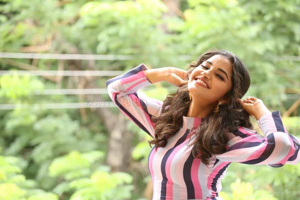 Actress Anupama Parameswaran At Rakshasudu Interview Photos