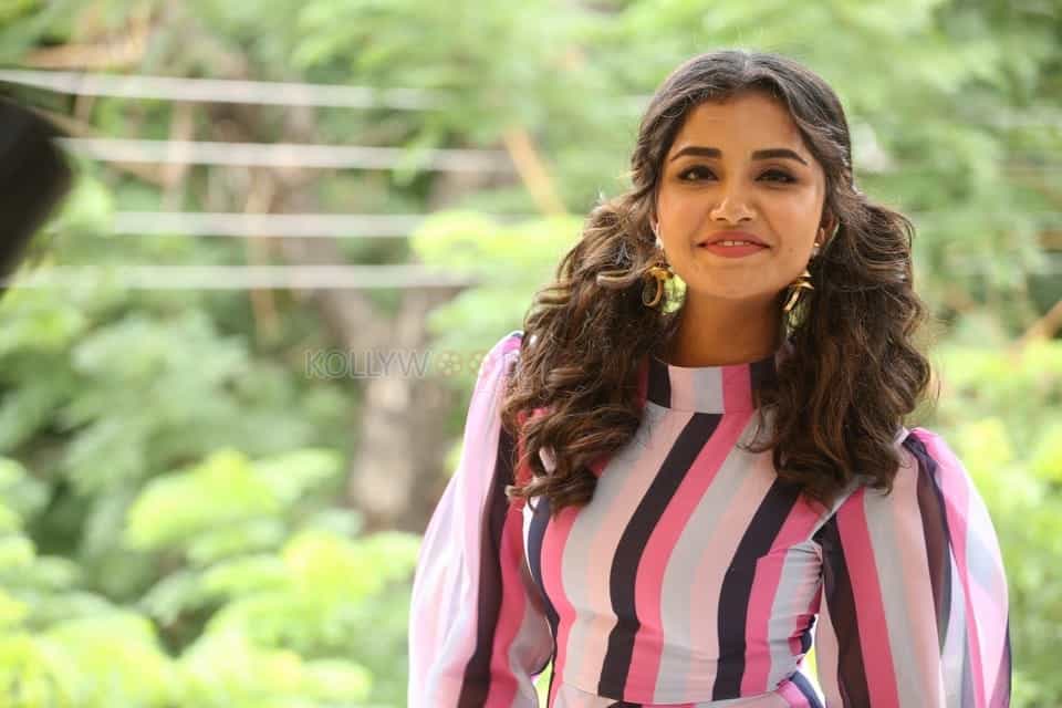 Actress Anupama Parameswaran At Rakshasudu Interview Photos