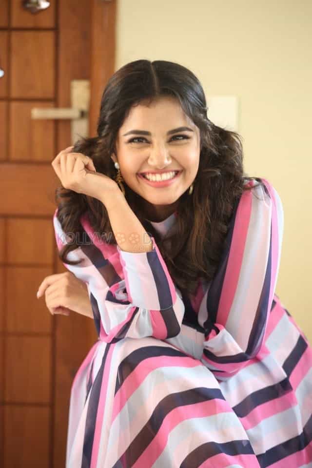 Actress Anupama Parameswaran At Rakshasudu Interview Photos