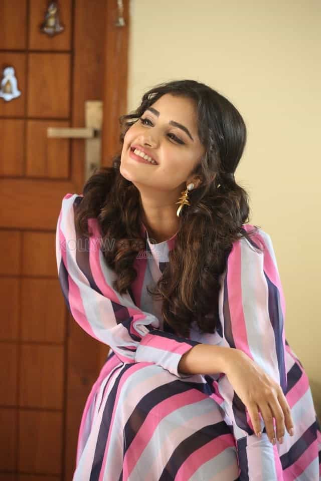 Actress Anupama Parameswaran At Rakshasudu Interview Photos
