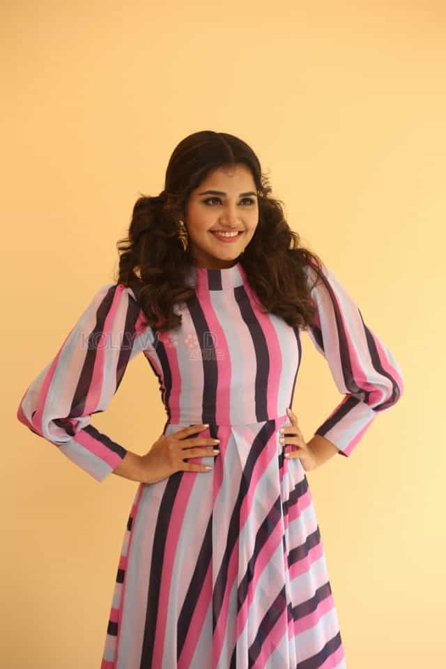 Actress Anupama Parameswaran At Rakshasudu Interview Photos