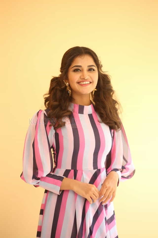 Actress Anupama Parameswaran At Rakshasudu Interview Photos