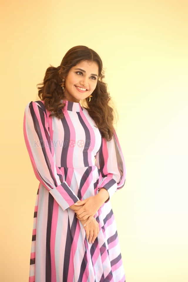 Actress Anupama Parameswaran At Rakshasudu Interview Photos