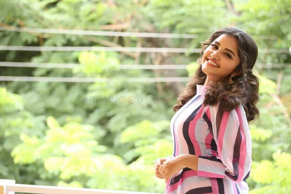 Actress Anupama Parameswaran At Rakshasudu Interview Photos