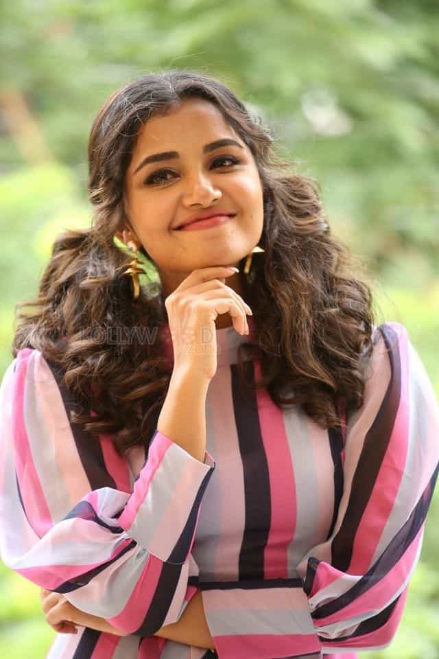 Actress Anupama Parameswaran At Rakshasudu Interview Photos