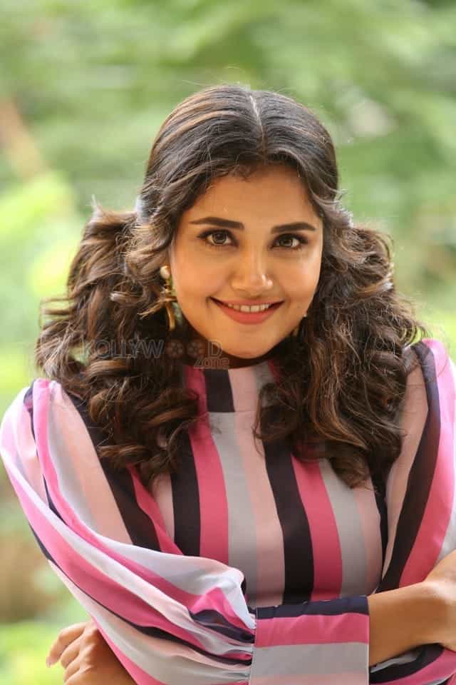 Actress Anupama Parameswaran At Rakshasudu Interview Photos