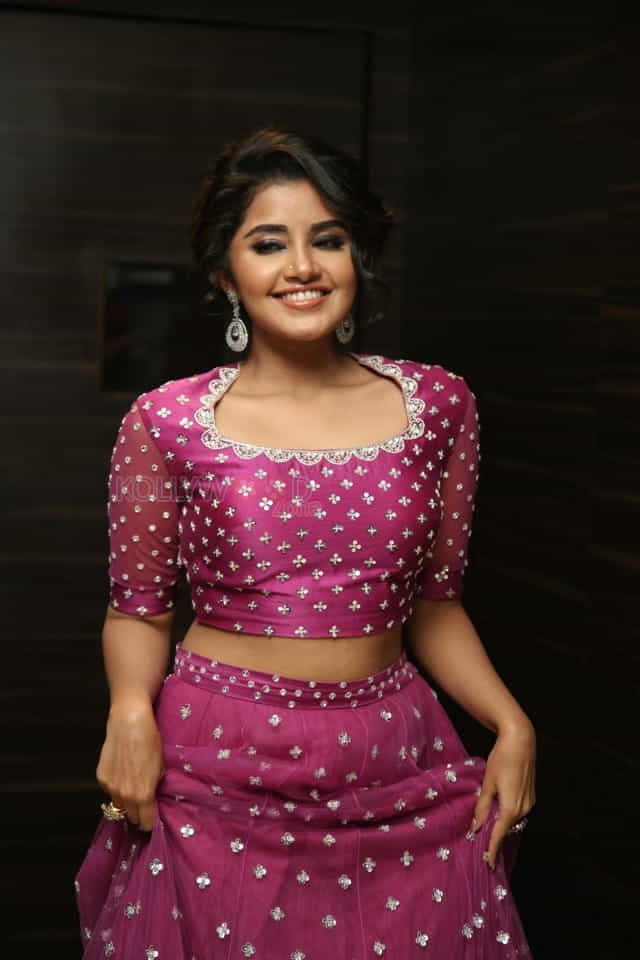 Actress Anupama Parameswaran At Rakshasudu Pre release Event Photos
