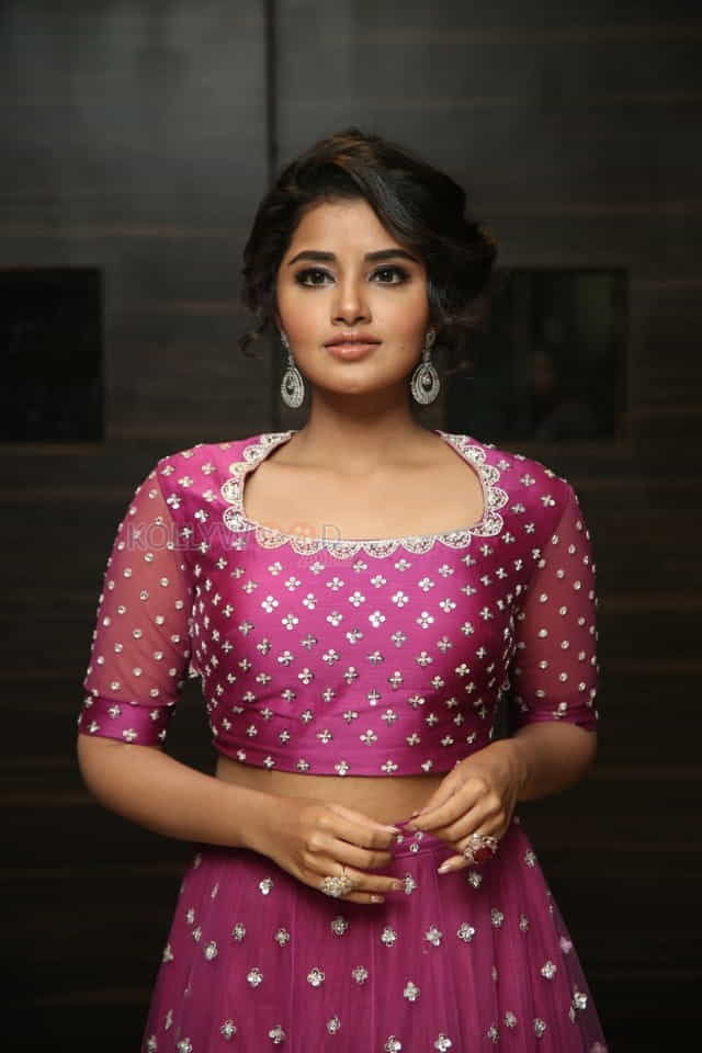 Actress Anupama Parameswaran At Rakshasudu Pre release Event Photos