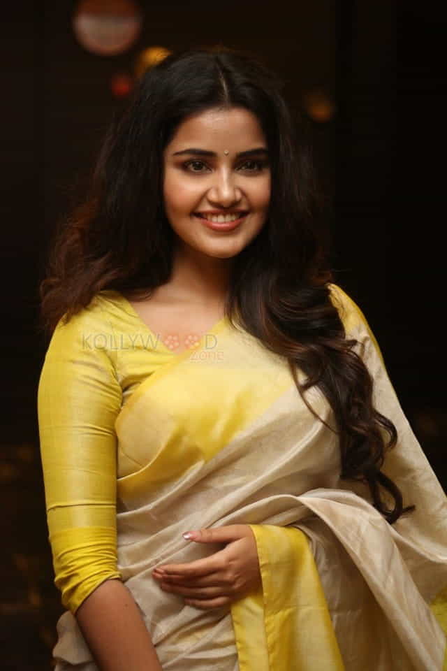 Actress Anupama Parameswaran At Svc Movies Celebration Photos