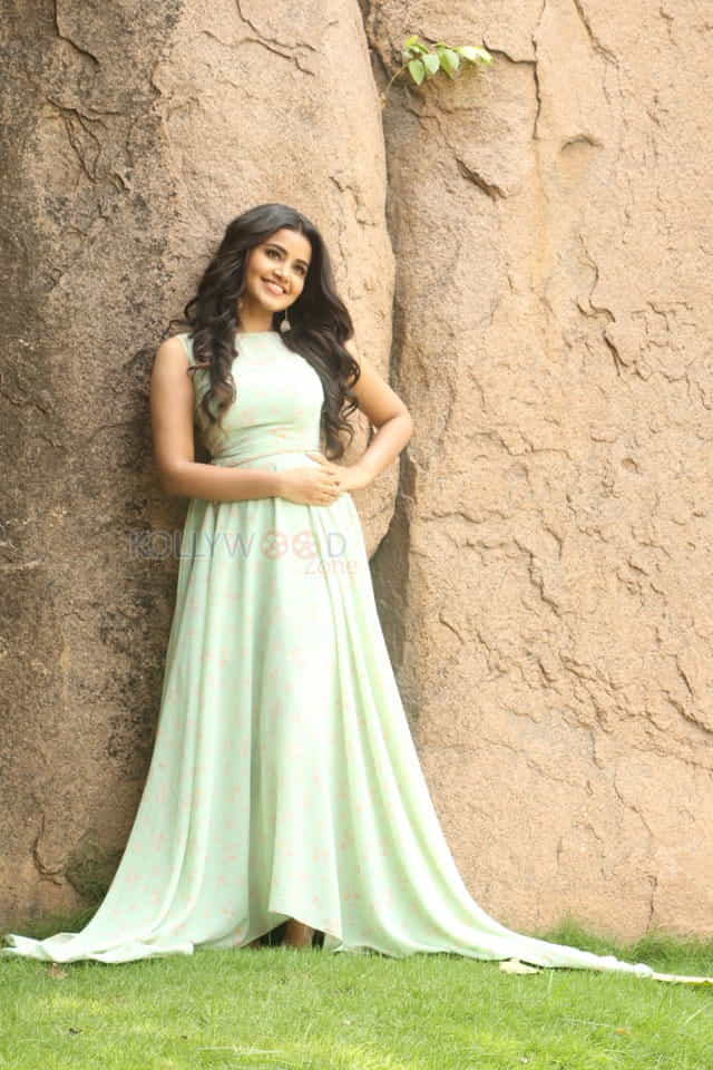Actress Anupama Parameswaran New Photo Shoot Pictures
