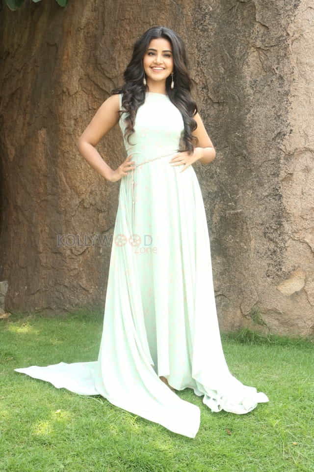 Actress Anupama Parameswaran New Photo Shoot Pictures
