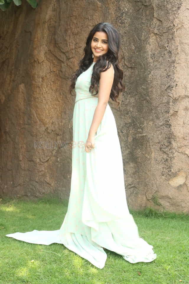 Actress Anupama Parameswaran New Photo Shoot Pictures