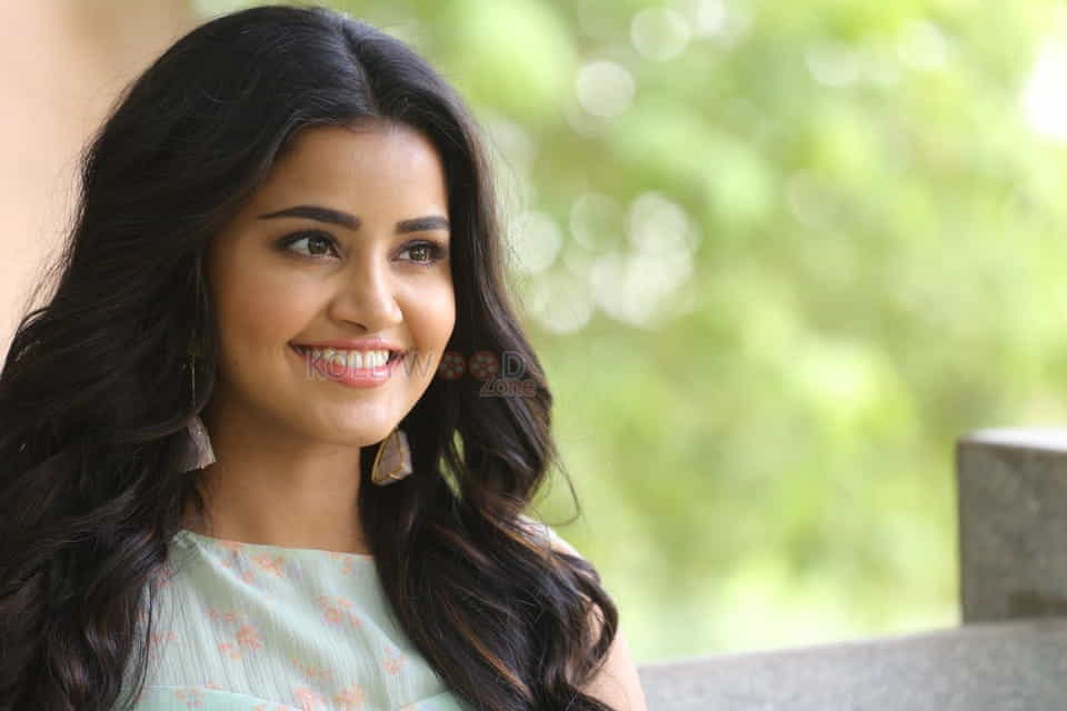 Actress Anupama Parameswaran New Photo Shoot Pictures