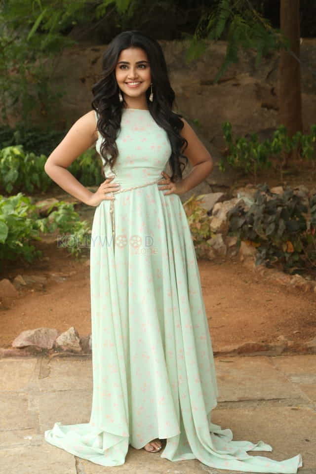 Actress Anupama Parameswaran New Photo Shoot Pictures