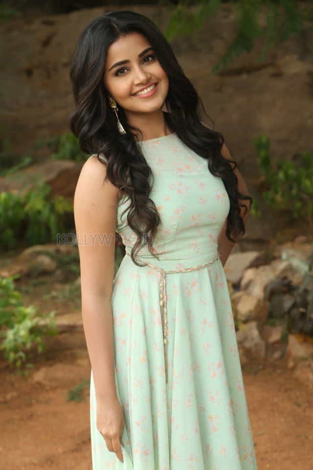 Actress Anupama Parameswaran New Photo Shoot Pictures