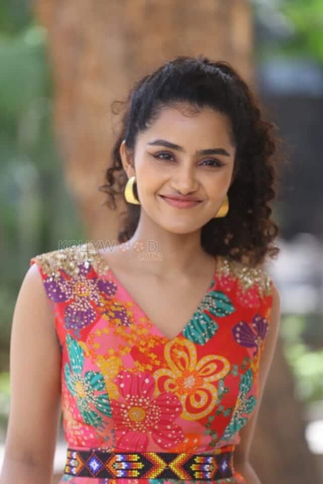 Actress Anupama Parameswaran at Butterfly Movie Press Meet Pictures 07