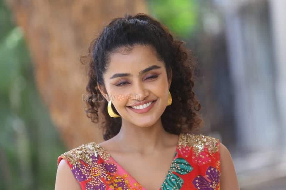 Actress Anupama Parameswaran at Butterfly Movie Press Meet Pictures 08