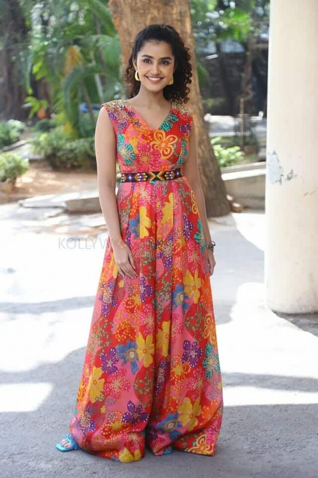 Actress Anupama Parameswaran at Butterfly Movie Press Meet Pictures 15