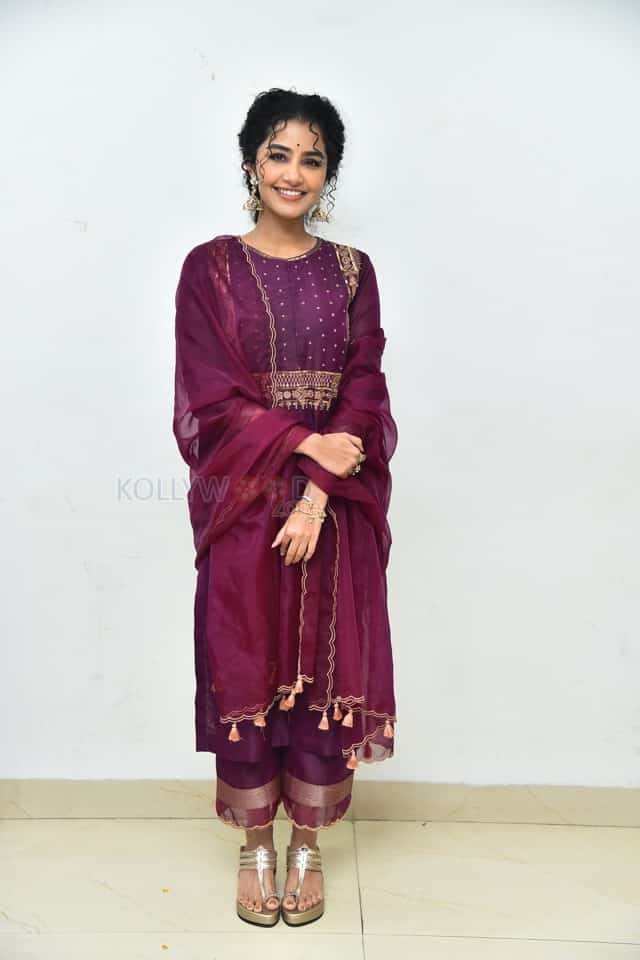 Actress Anupama Parameswaran at Paradha Press Meet Pictures 01