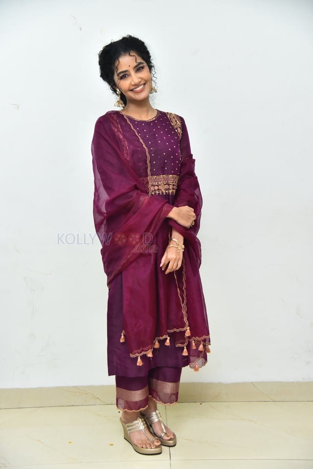 Actress Anupama Parameswaran at Paradha Press Meet Pictures 02