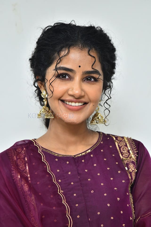 Actress Anupama Parameswaran at Paradha Press Meet Pictures 04