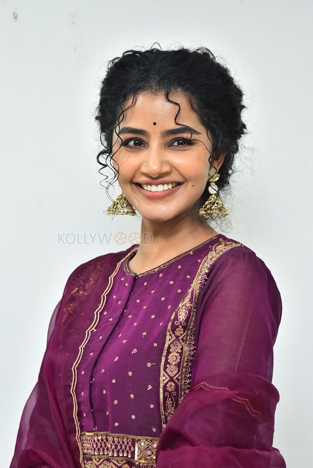 Actress Anupama Parameswaran at Paradha Press Meet Pictures 05