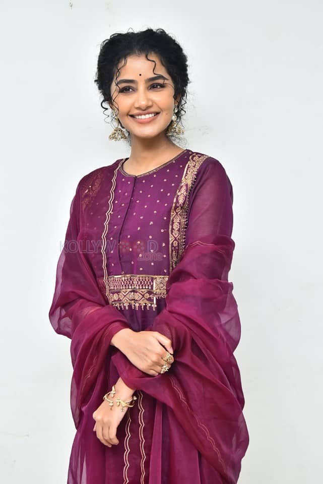 Actress Anupama Parameswaran at Paradha Press Meet Pictures 06