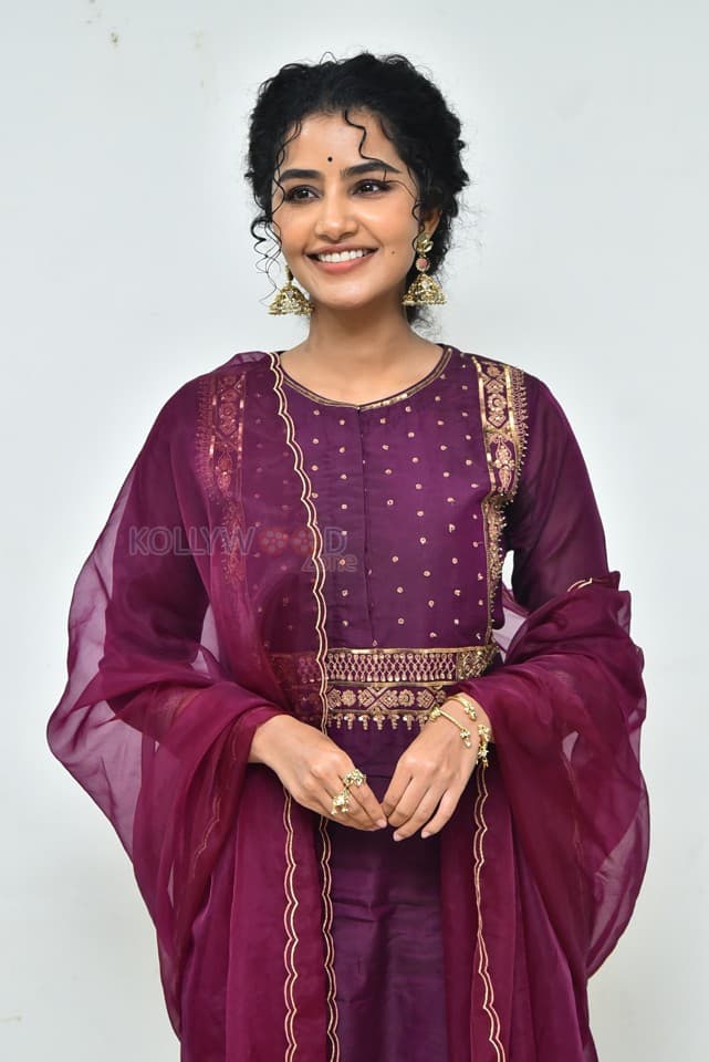 Actress Anupama Parameswaran at Paradha Press Meet Pictures 10