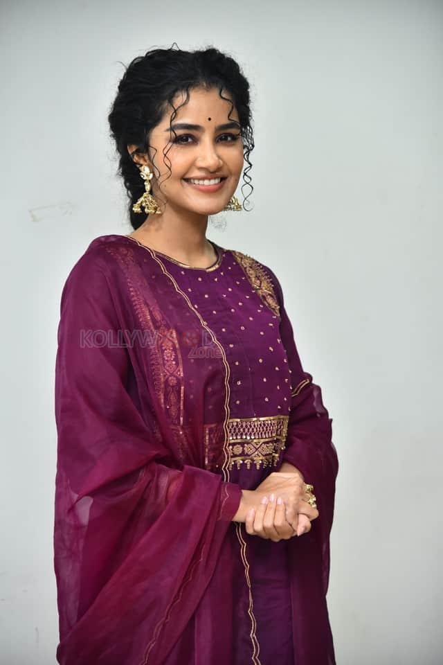 Actress Anupama Parameswaran at Paradha Press Meet Pictures 11