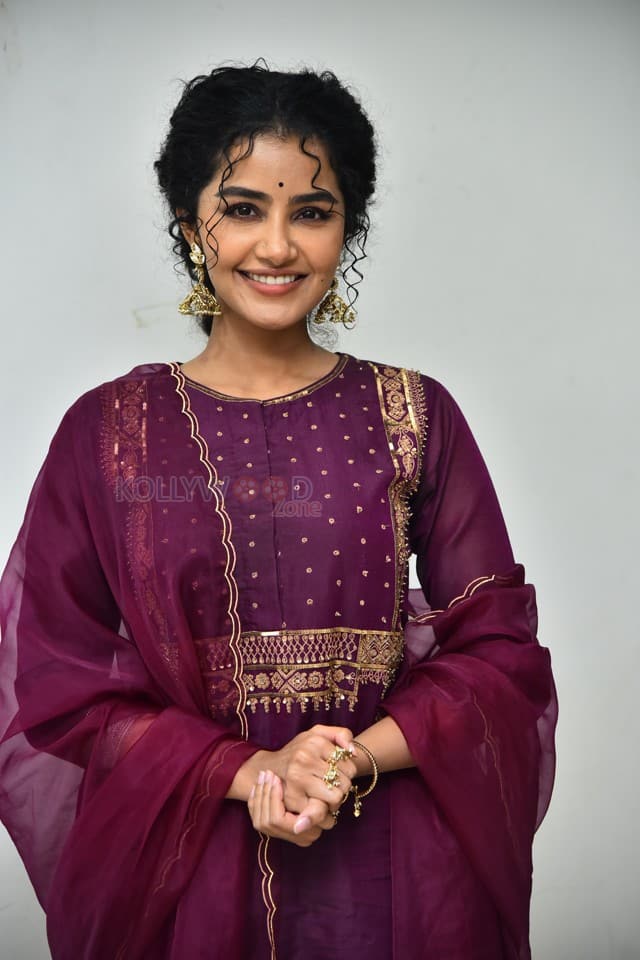 Actress Anupama Parameswaran at Paradha Press Meet Pictures 12