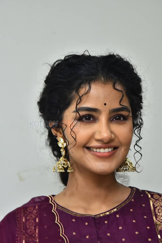 Actress Anupama Parameswaran at Paradha Press Meet Pictures 13