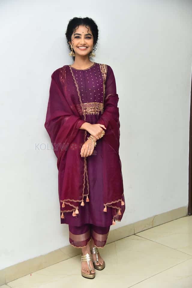 Actress Anupama Parameswaran at Paradha Press Meet Pictures 14