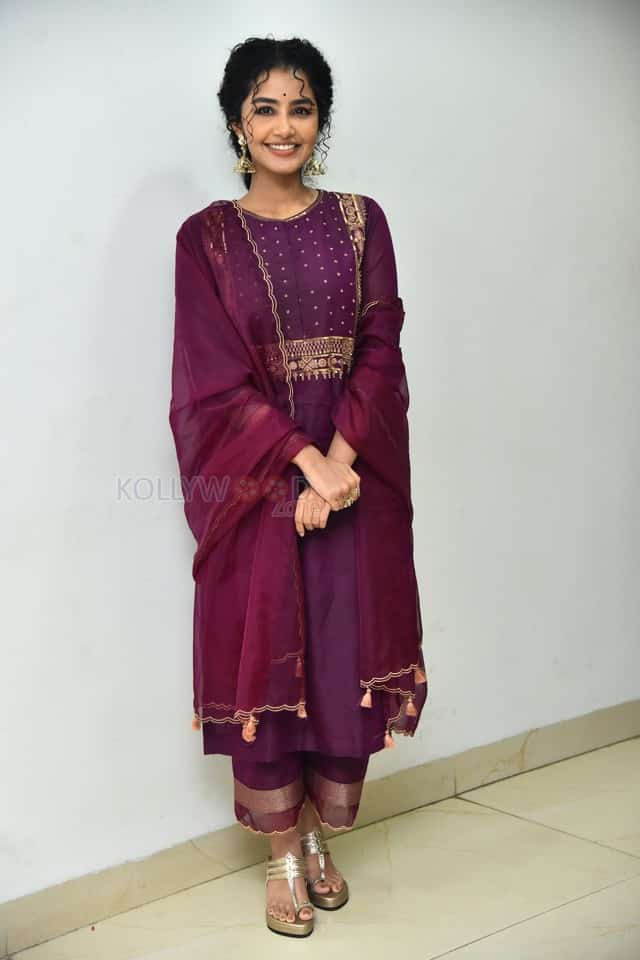 Actress Anupama Parameswaran at Paradha Press Meet Pictures 16