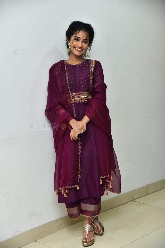 Actress Anupama Parameswaran at Paradha Press Meet Pictures 17