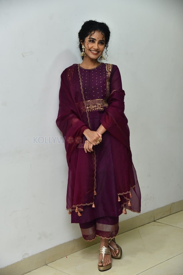 Actress Anupama Parameswaran at Paradha Press Meet Pictures 18