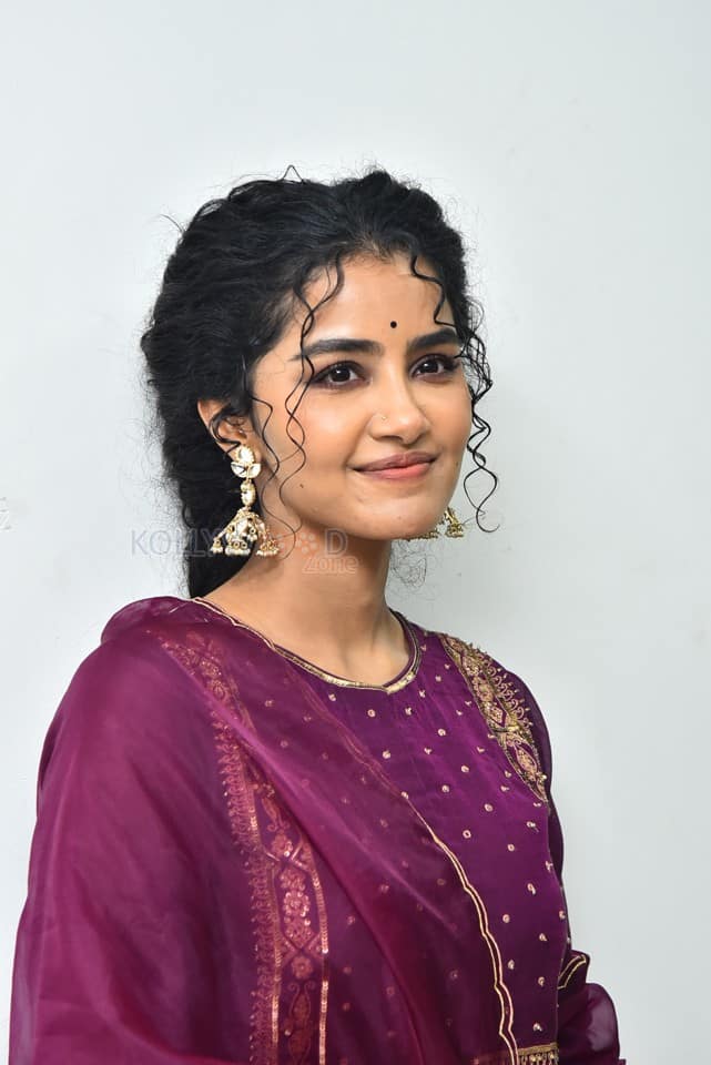 Actress Anupama Parameswaran at Paradha Press Meet Pictures 19