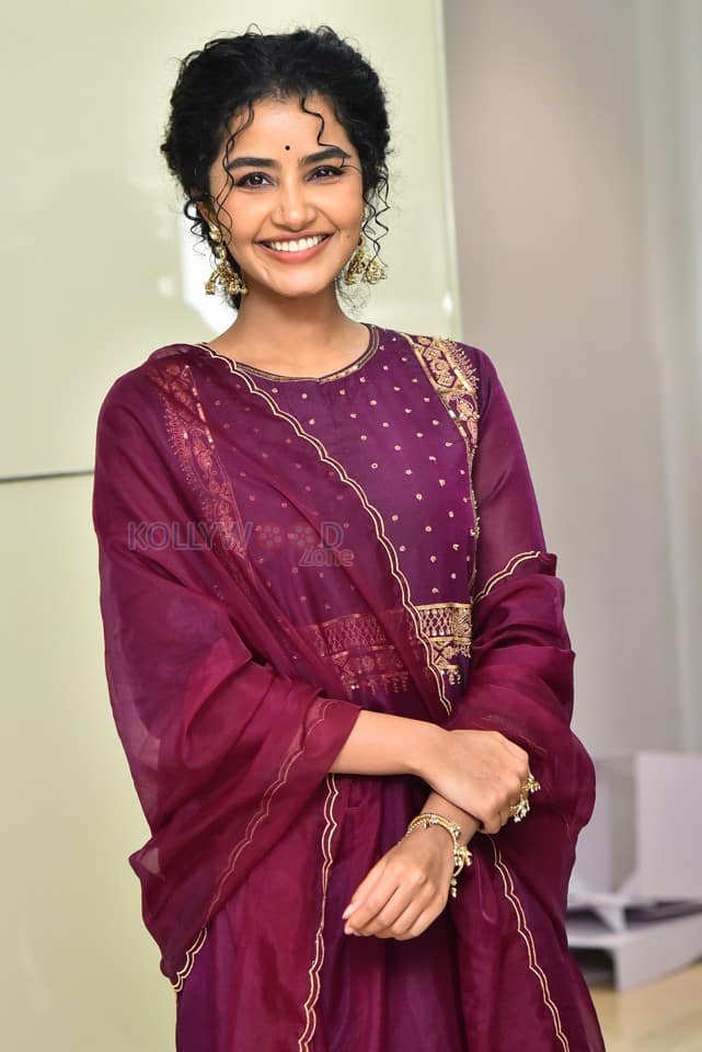 Actress Anupama Parameswaran at Paradha Press Meet Pictures 20
