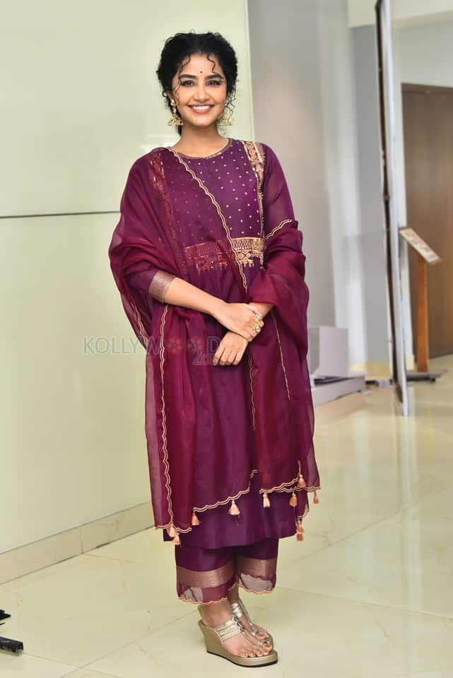 Actress Anupama Parameswaran at Paradha Press Meet Pictures 21