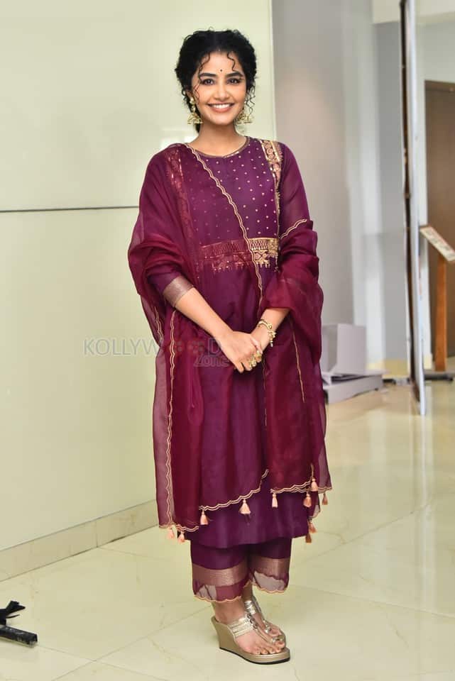 Actress Anupama Parameswaran at Paradha Press Meet Pictures 22