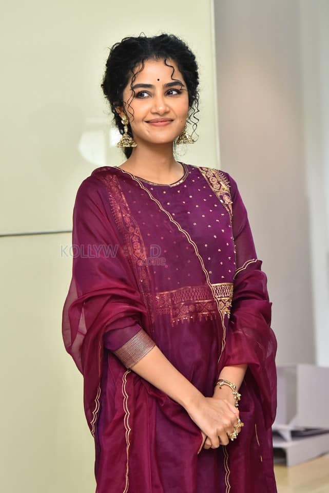 Actress Anupama Parameswaran at Paradha Press Meet Pictures 23