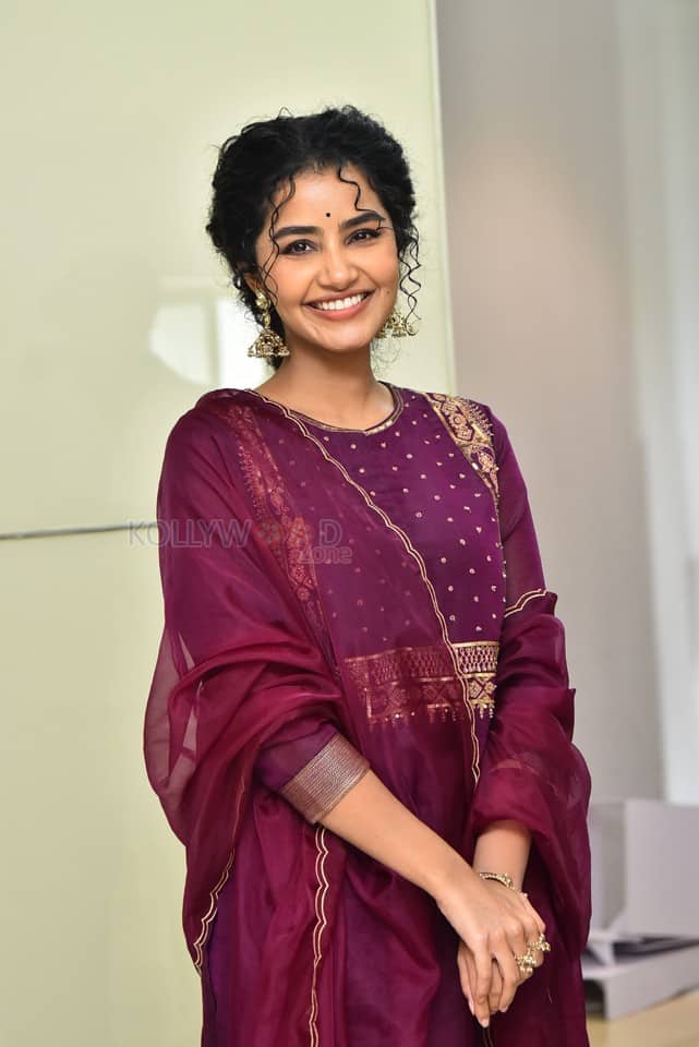 Actress Anupama Parameswaran at Paradha Press Meet Pictures 24