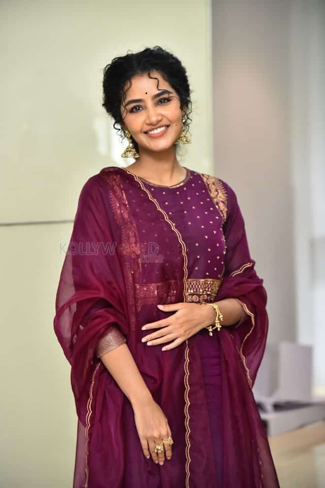 Actress Anupama Parameswaran at Paradha Press Meet Pictures 25