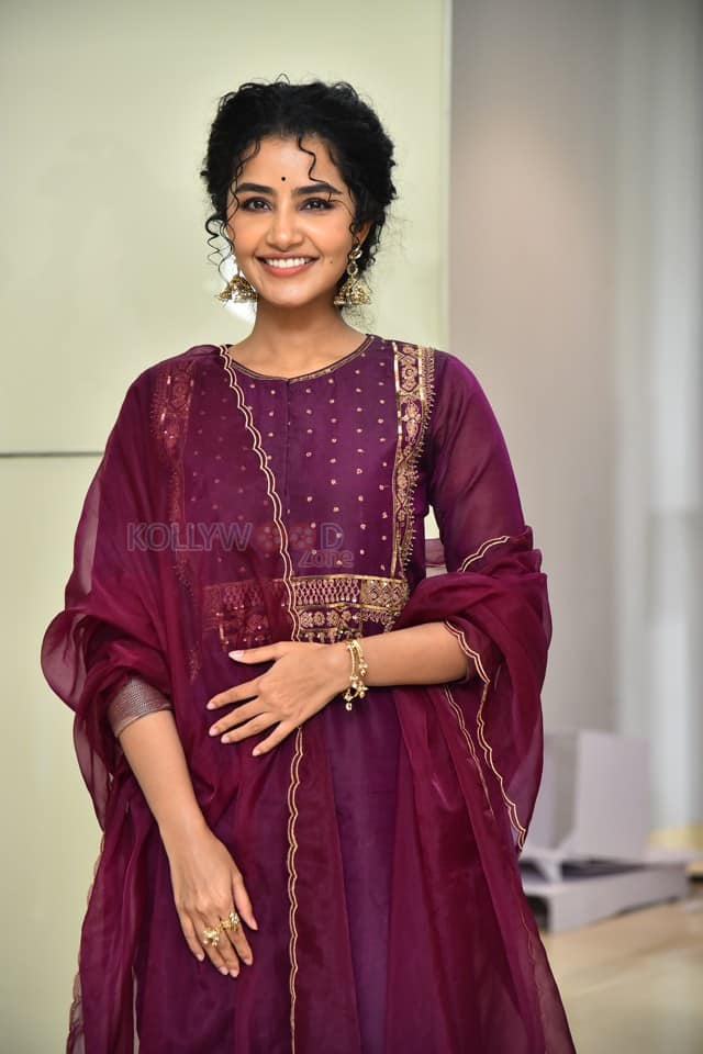 Actress Anupama Parameswaran at Paradha Press Meet Pictures 26
