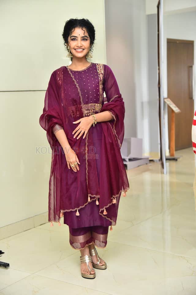 Actress Anupama Parameswaran at Paradha Press Meet Pictures 27