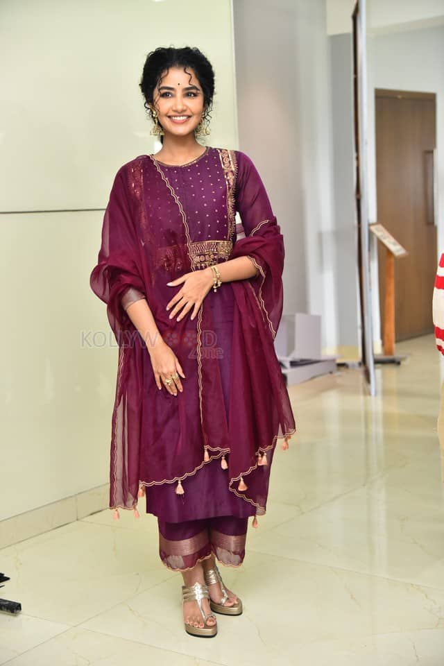Actress Anupama Parameswaran at Paradha Press Meet Pictures 28