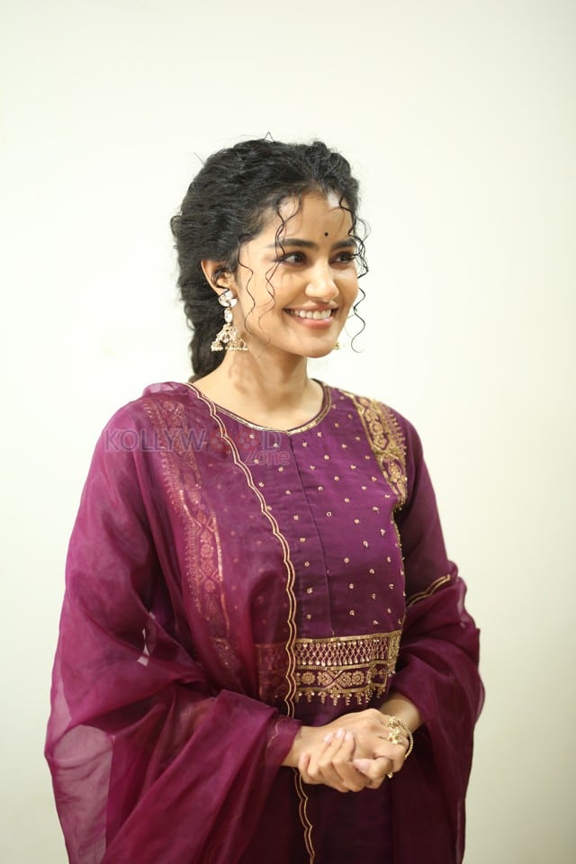 Actress Anupama Parameswaran at Paradha Press Meet Pictures 30