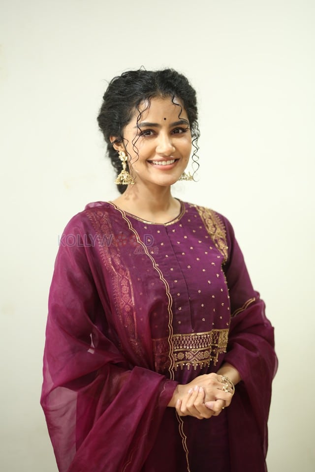 Actress Anupama Parameswaran at Paradha Press Meet Pictures 31